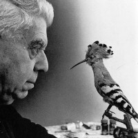 Ho sceso dandoti il braccio di Eugenio Montale: testo e parafrasi