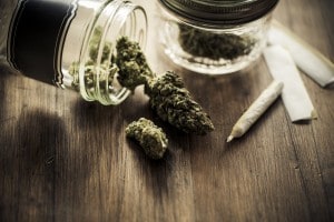 L'uso della cannabis