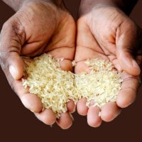 Tema sulla fame nel mondo