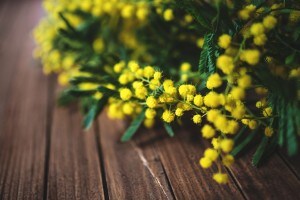 Festa delle donne: storia