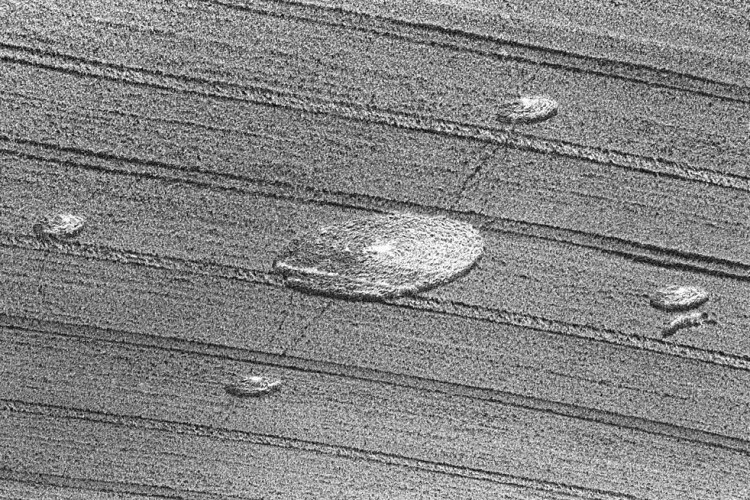 Crop Circles, 1985