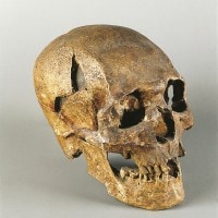 Homo Sapiens: significato, storia e caratteristiche