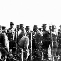 Prima Guerra Mondiale: cause, cronologia, battaglie, protagonisti
