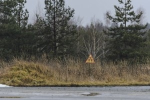 La foresta rossa a Chernobyl