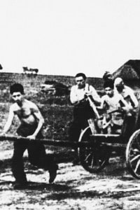 Uomini ebrei costretti a lavorare come braccianti agricoli sotto il regime nazista, nel 1938