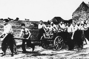 Uomini ebrei costretti a lavorare come braccianti agricoli sotto il regime nazista, nel 1938