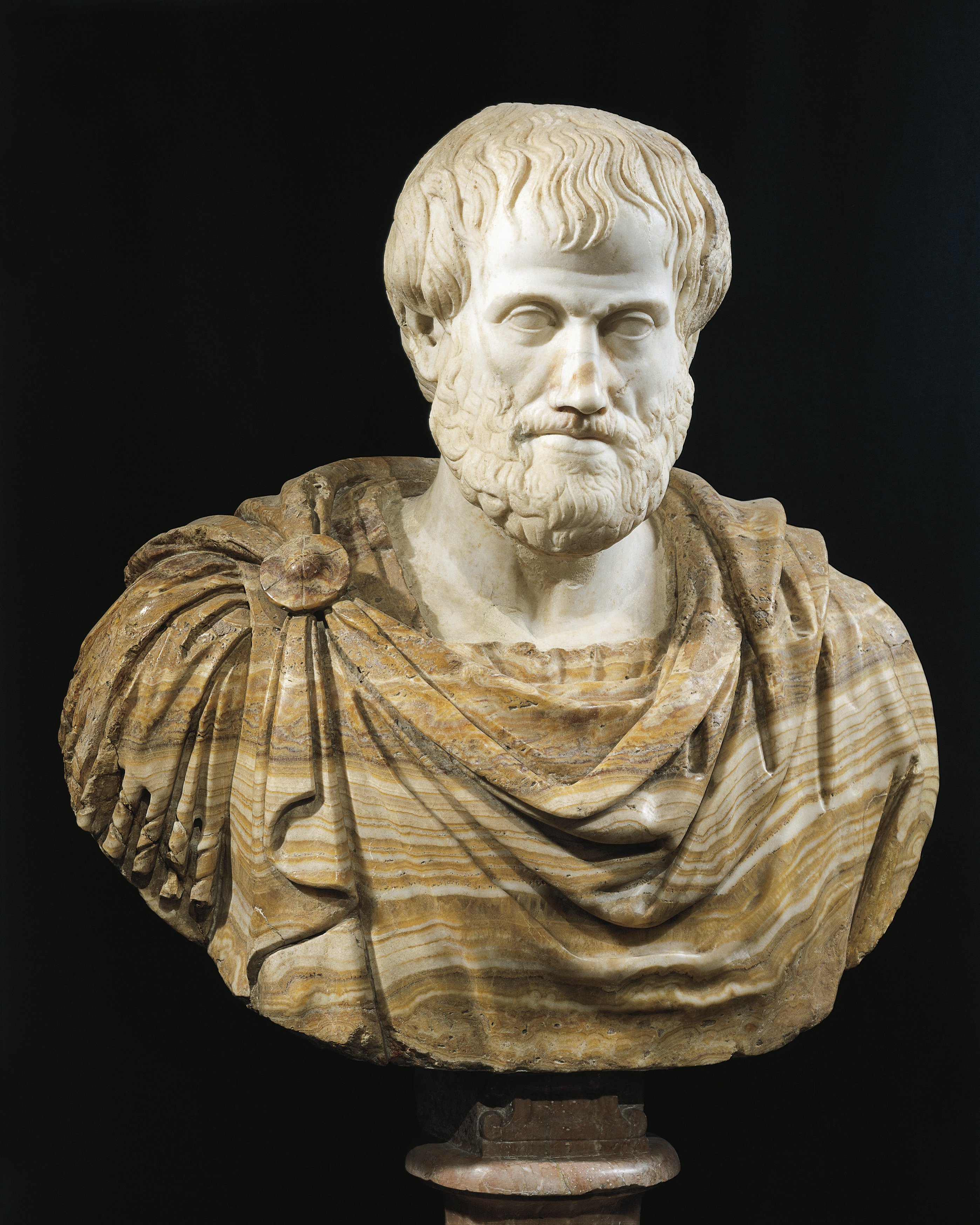 Scultura Aristotele greco filosofo statua busto 