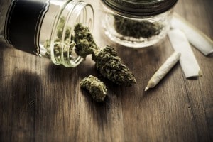 La cannabis è una delle cosiddette "droghe leggere". In alcuni paesi il suo consumo è legale, limitatamente a determinati luoghi e momenti.