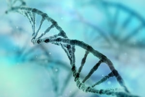 Cos'è e come funziona il DNA?