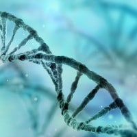 DNA: scoperta, struttura e funzione