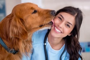 Test veterinaria 2020: data della prova