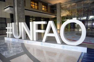 La FAO, Organizzazione delle Nazioni Unite per l'alimentazione e l'agricoltura