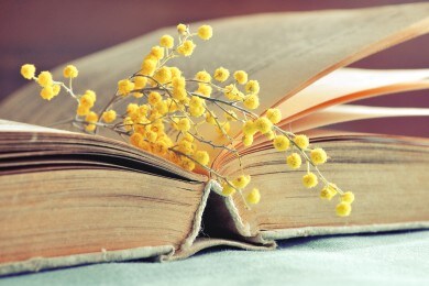 8 marzo, festa della donna: frasi e aforismi dalla letteratura
