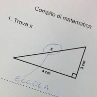 Domanda  matematica prove invalsi 2017: trova x