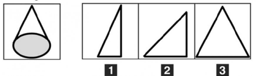 Quale dei seguenti triangoli, ruotando attorno a un proprio lato, può aver generato il cono della figura?