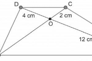 Area del trapezio: calcolo e formule