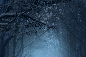 La selva oscura come simbolo di peccato, di retta via smarrita