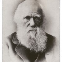 Charles Darwin: vita e teoria dell'evoluzione