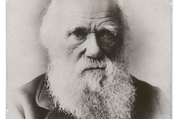 Charles Darwin: vita e teoria dell'evoluzione
