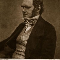 Il Positivismo e la scienza: Comte, Darwin