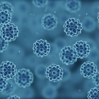 La mobilità dei batteri: definizione ed esperimento