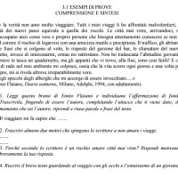 Esempio tipologia C comprensione del testo per l'esame di terza media di italiano 