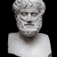 Etica Nicomachea di Aristotele, appunti e approfondimenti per tradurre