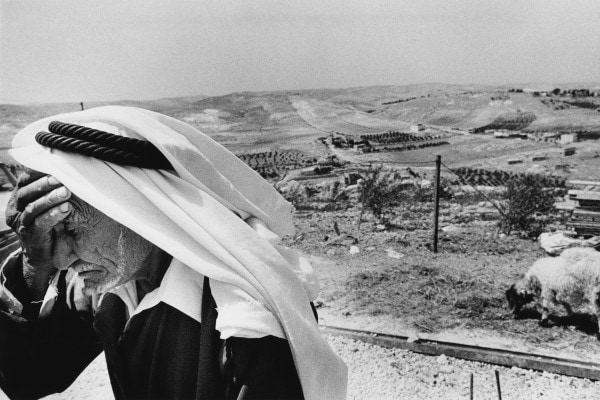 Questione palestinese: significato e storia del conflitto tra israeliani e palestinesi