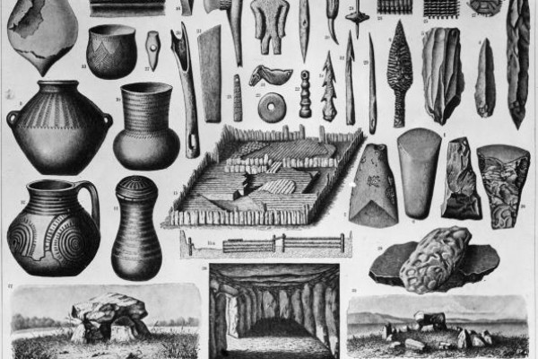 Mappe Concettuali Studenti it