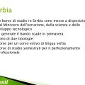 Borse di studio per la Serbia