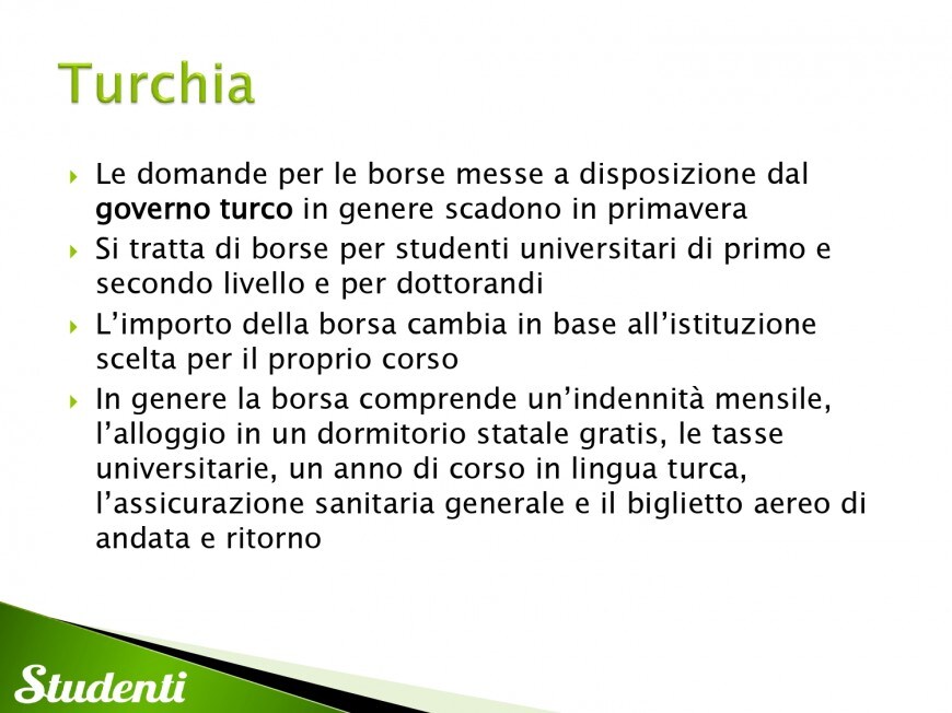 Borse di studio per la Turchia