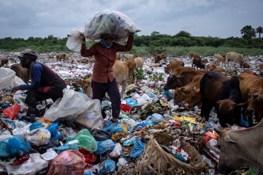 Discarica in mezzo ai pascoli in Indonesia