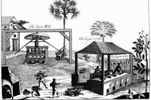 Schiavi in una piantagione di zucchero nelle Indie Occidentali, 1725