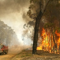 Incendi in Australia: le foto