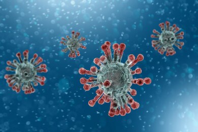 Coronavirus, news dal Miur: chiusure scuole, università e altre iniziative