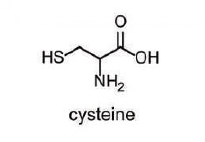 Which of the following functional groups is present in cysteine?