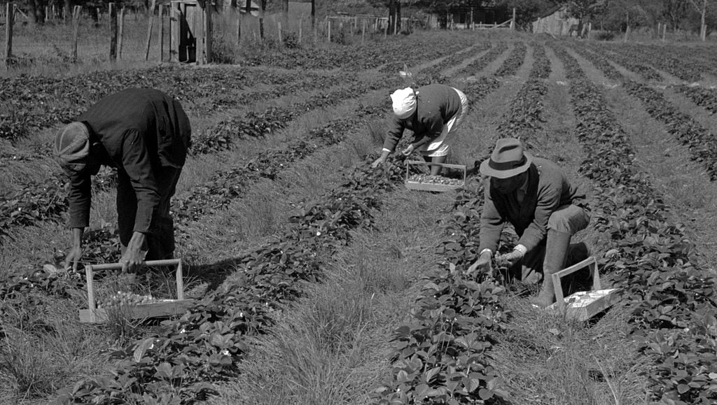 Tema sul lavoro ideale: sogni e desideri