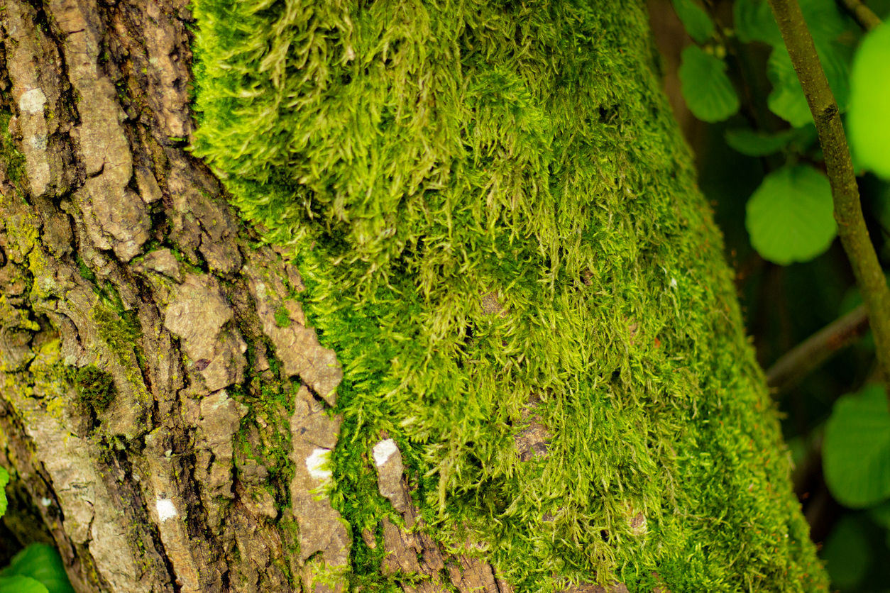 7. 集中するのが苦手