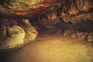 Grotta di Altamira, Spagna. Pitture rupestri del Paleolitico superiore