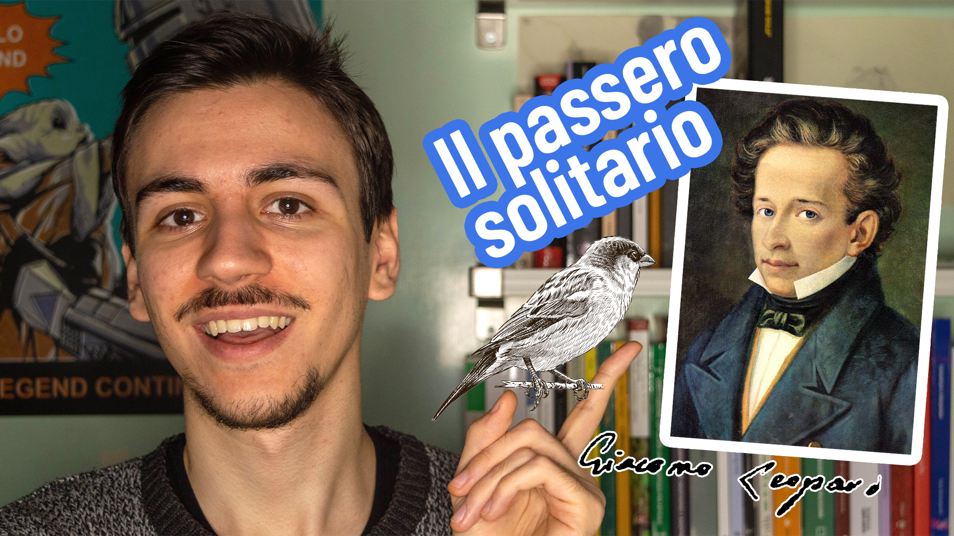 Il passero solitario di Leopardi | Video | Studenti.it