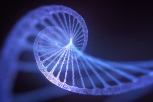 DNA e sintesi proteica: come funzionano?