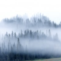 Nebbia di Pascoli: analisi, parafrasi e commento