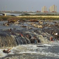 Inquinamento dell'acqua, riassunto: cause e conseguenze