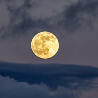 Astolfo sulla luna: commento al passo di Ludovico Ariosto