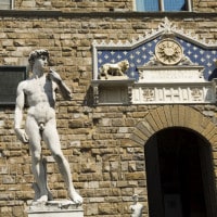 David di Michelangelo: descrizione e analisi