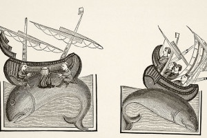 I navigatori che hanno scambiato la schiena di una balena per un'isola, si siedono su di essa per cucinare il cibo. Dopo una miniatura in un manoscritto del X secolo Bestiaire d'Amour di Richard Furnival