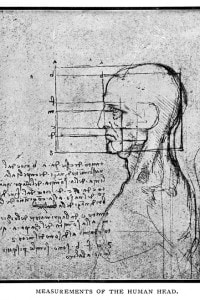 Misurazioni della testa umana di Leonardo Da Vinci