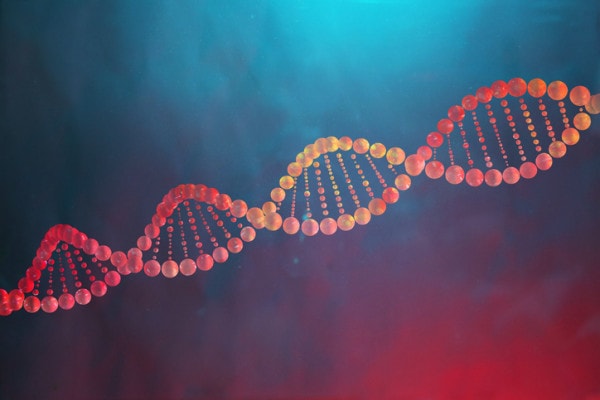 La duplicazione del DNA: riassunto breve