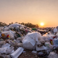 Tema svolto sul problema dei rifiuti