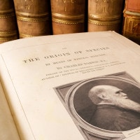 Charles Darwin: riassunto della vita e teoria dell'evoluzione